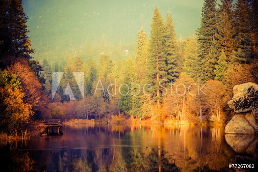 Picture of Foggy Sunset at the Lake